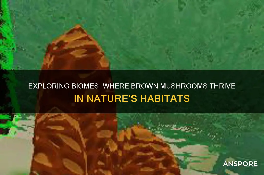 what biomes can you find brown mushrooms in