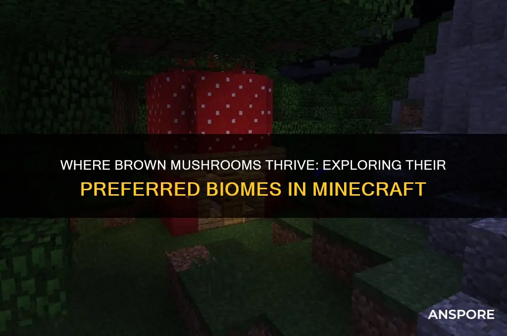 what biomes do brown mushrooms spawn in