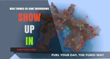 Where Do Giant Mushrooms Thrive? Exploring Their Biome Habitats