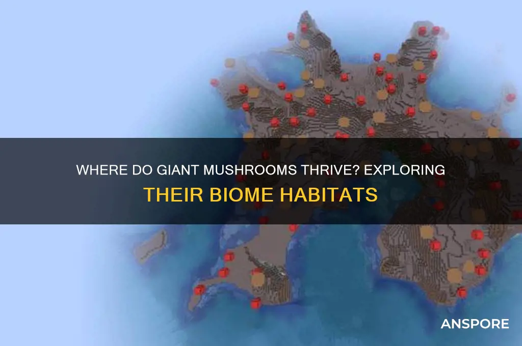 what biomes do giant mushrooms show up in