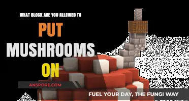 Where to Place Mushrooms in Minecraft: Block Compatibility Guide