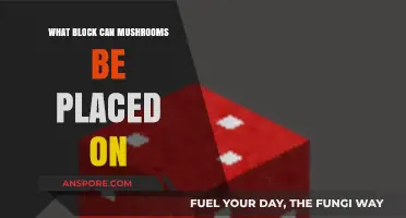 Where to Place Mushrooms: Ideal Blocks for Growth in Minecraft