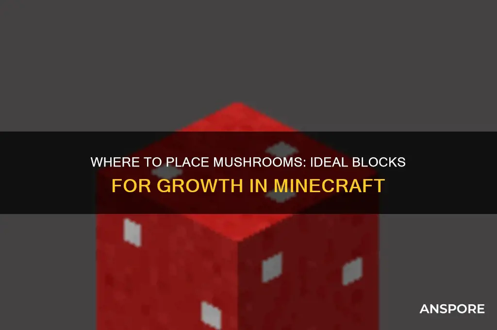 what block can mushrooms be placed on