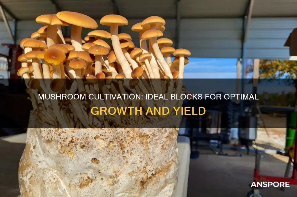 what blocks can mushrooms grow on