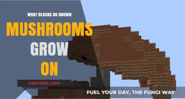 Unveiling the Surprising Blocks Where Brown Mushrooms Thrive in Minecraft