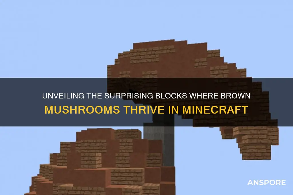 what blocks do brown mushrooms grow on