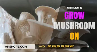 Best Substrates for Mushroom Cultivation: Unlocking Optimal Growth Blocks