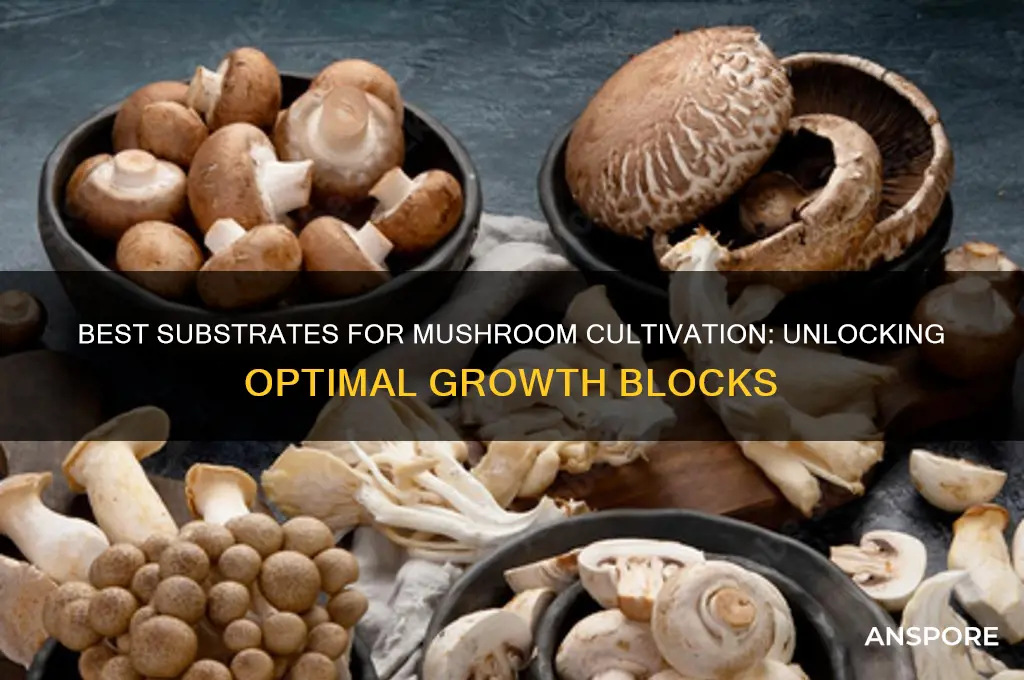 what blocks to grow mushrooms on