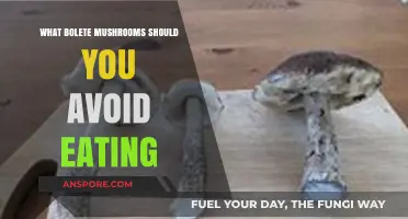 Toxic Boletes: Identifying Deadly and Unsafe Mushrooms to Avoid Eating