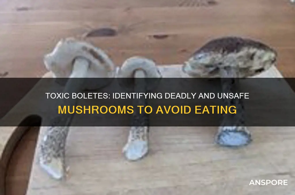what bolete mushrooms should you avoid eating