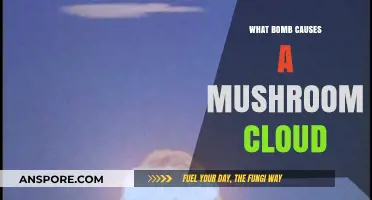 Explosive Secrets: Unveiling the Science Behind Mushroom Cloud Bombs