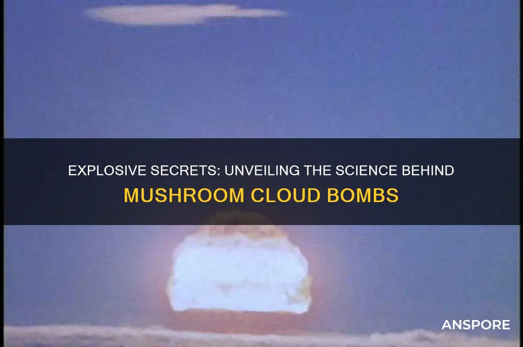 what bomb causes a mushroom cloud