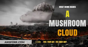 Explosive Secrets: Unveiling the Science Behind Mushroom Cloud Bombs