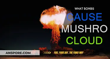 Creating Mushroom Clouds: Understanding Bomb Explosions