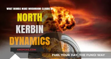 Explosive Secrets: Mushroom Clouds in North Kerbin Dynamics Unveiled