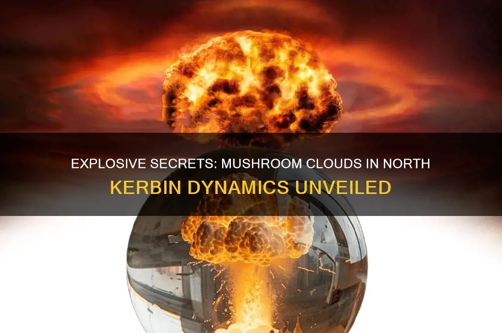 what bombs make mushroom clouds in north kerbin dynamics