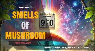 Exploring the Unique BPM of 'Smells of Mushroom' in Music