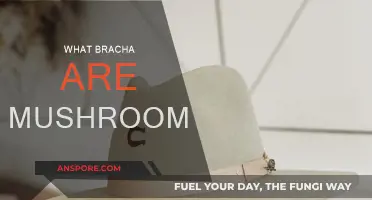 Blessing for Mushrooms: What's the Right Bracha?