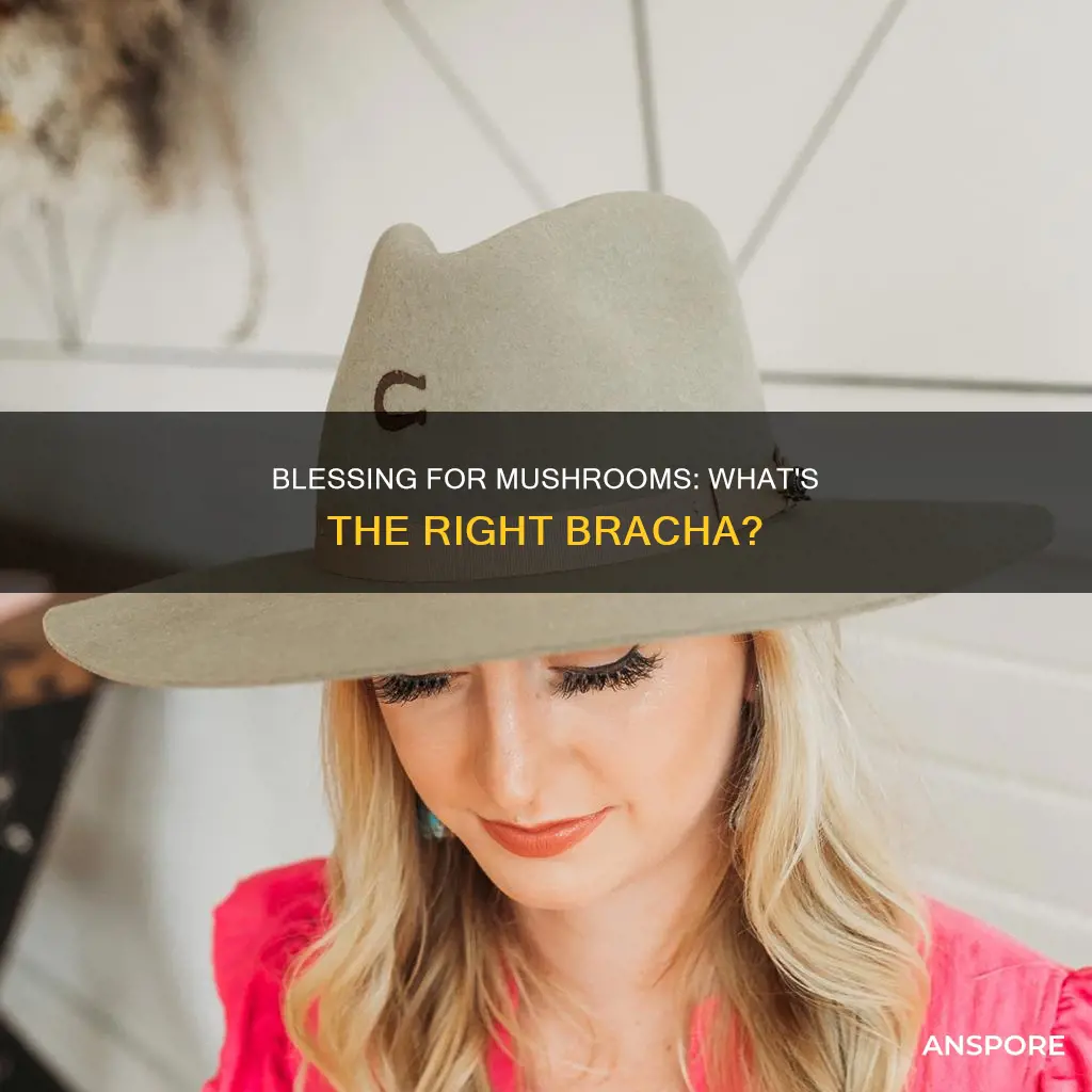 what bracha are mushrooms