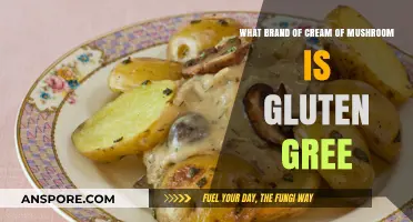 Gluten-Free Cream of Mushroom: Top Brands for Safe and Delicious Cooking