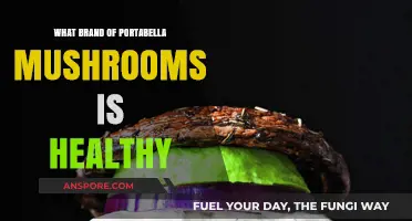 Discover the Healthiest Portabella Mushroom Brands for Your Diet