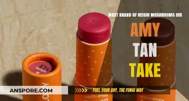 Amy Tan's Reishi Mushroom Brand: Unveiling Her Wellness Secret