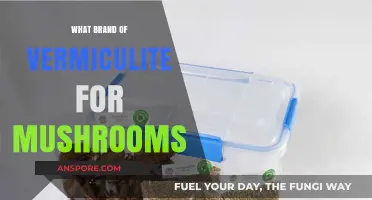 Best Vermiculite Brands for Growing Healthy and Abundant Mushrooms