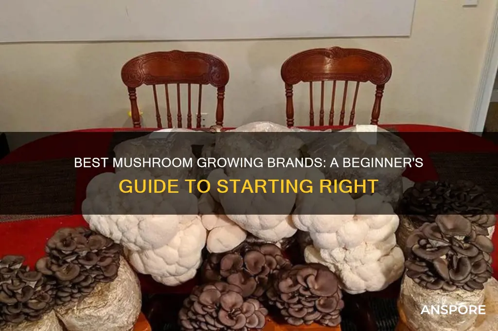 what brand to buy for starting mushrooms