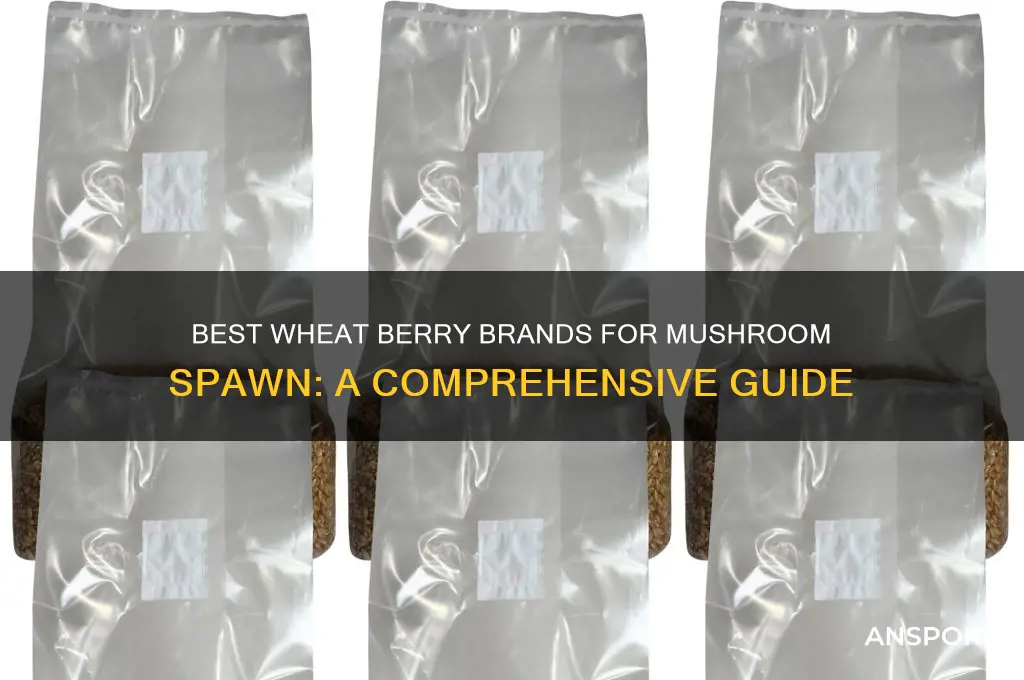 what brand wheat berry for mushroom spawn