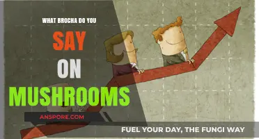 What Brocha to Recite on Mushrooms: A Halachic Exploration