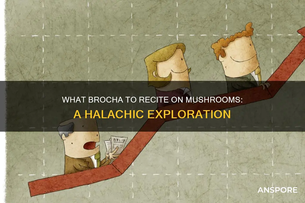 what brocha do you say on mushrooms