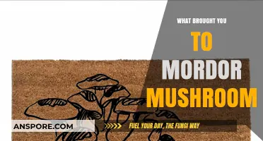 Exploring the Fascinating Journey to Mordor Mushrooms: A Mycological Adventure