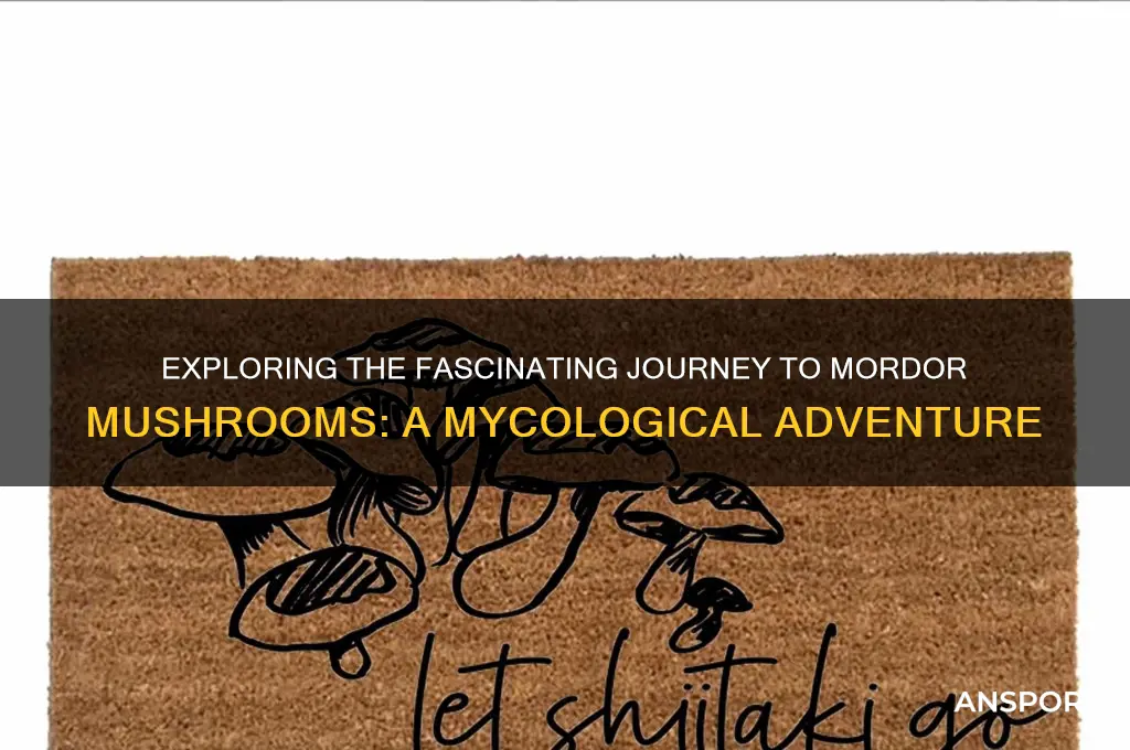 what brought you to mordor mushrooms