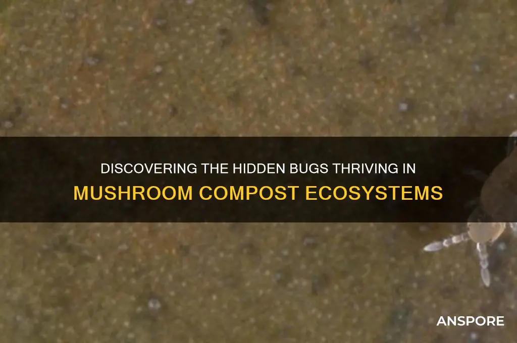 what bugs live in mushroom compost