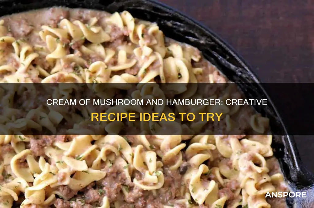 what can be made wit cream of mushroom an hambuger
