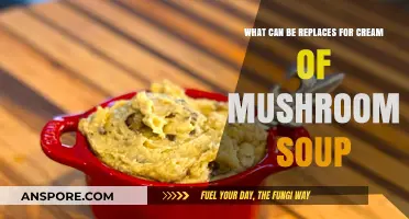 Cream of Mushroom Soup Alternatives: Healthy and Tasty Substitutes to Try