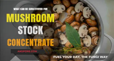 Mushroom Stock Substitute: Creative Alternatives for Flavorful Recipes