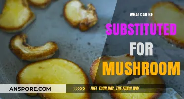 Mushroom Alternatives: Creative Substitutes for Recipes and Cooking Needs