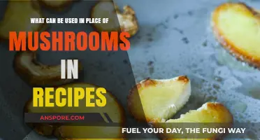 Mushroom Substitutes: Creative Alternatives for Recipes Without Mushrooms
