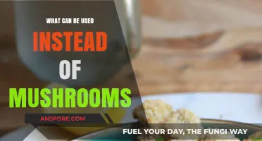 Mushroom Substitutes: Creative Alternatives for Flavor and Texture in Recipes