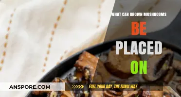 Creative Uses for Brown Mushrooms: Surprising Food Pairings and Recipes