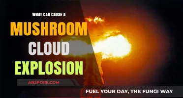 Explosive Origins: Unveiling the Causes of Mushroom Cloud Explosions