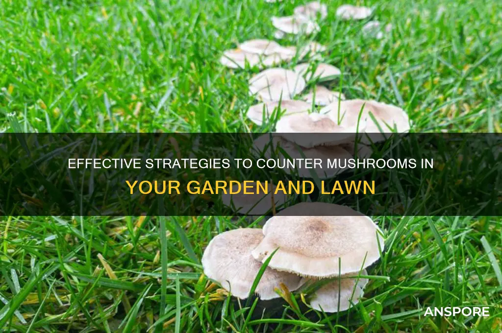 what can counter mushrooms