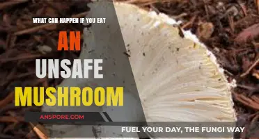 Toxic Mushroom Risks: Symptoms, Dangers, and Prevention Tips