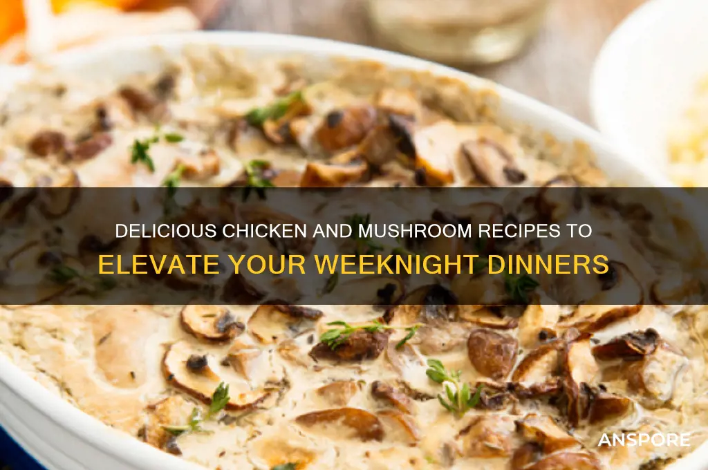 what can i cook with chicken and mushrooms