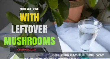 Creative Mushroom Recipes: Transforming Leftovers into Delicious Meals