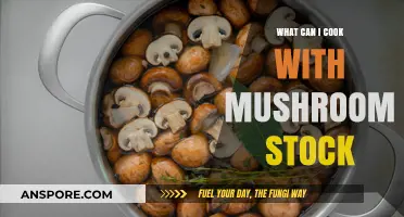Delicious Mushroom Stock Recipes: Creative Dishes to Elevate Your Cooking