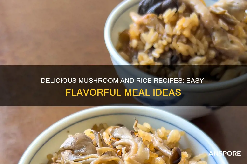 what can i cook with mushrooms and rice