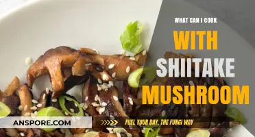 Delicious Shiitake Mushroom Recipes: Creative Cooking Ideas to Try Today