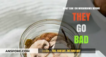 Creative Ways to Use Mushrooms Before They Spoil: Quick Tips